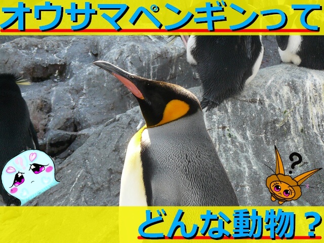 Thumbnail of post image 079